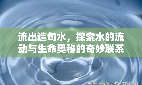 流出造句水，探索水的流動(dòng)與生命奧秘的奇妙聯(lián)系