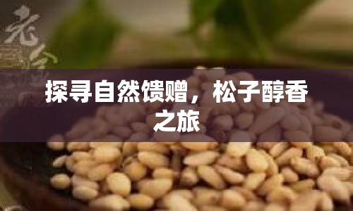 探尋自然饋贈，松子醇香之旅