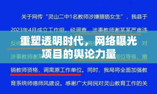 重塑透明時代，網(wǎng)絡(luò)曝光項(xiàng)目的輿論力量