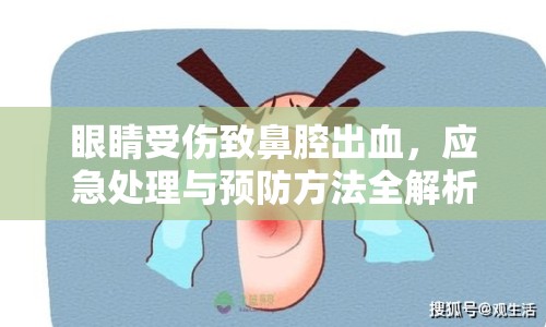 眼睛受傷致鼻腔出血，應(yīng)急處理與預(yù)防方法全解析