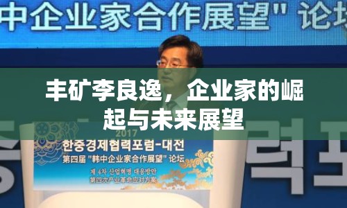 豐礦李良逸，企業(yè)家的崛起與未來展望