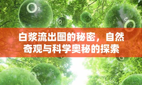 白漿流出圖的秘密，自然奇觀與科學(xué)奧秘的探索