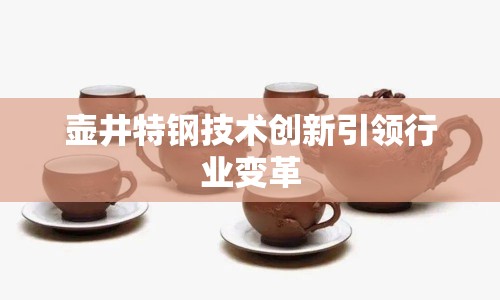 壺井特鋼技術(shù)創(chuàng)新引領(lǐng)行業(yè)變革