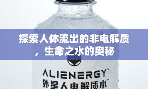 探索人體流出的非電解質(zhì)，生命之水的奧秘