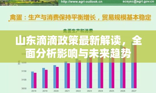 山東滴滴政策最新解讀，全面分析影響與未來趨勢