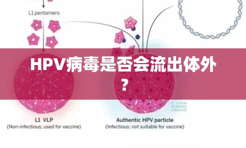 HPV病毒是否會(huì)流出體外？