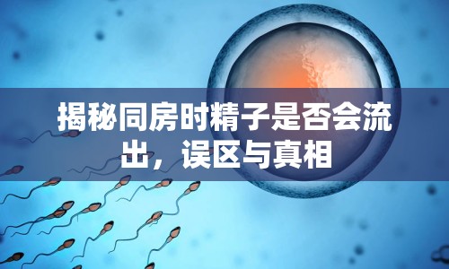 揭秘同房時精子是否會流出，誤區(qū)與真相