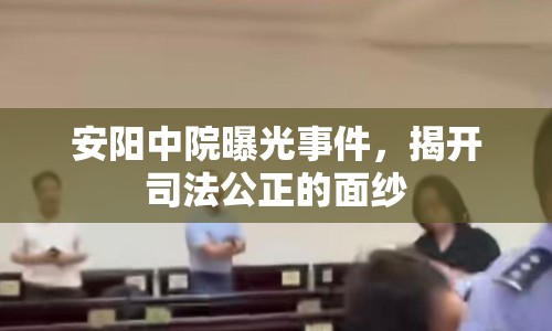 安陽中院曝光事件，揭開司法公正的面紗