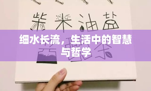 細水長流，生活中的智慧與哲學