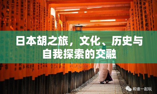 日本胡之旅，文化、歷史與自我探索的交融