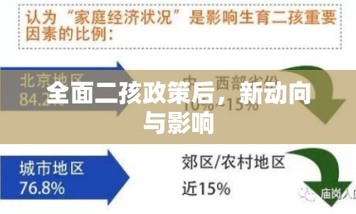 全面二孩政策后，新動向與影響