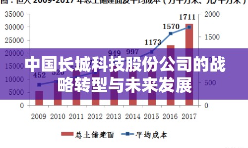 中國長城科技股份公司的戰(zhàn)略轉(zhuǎn)型與未來發(fā)展