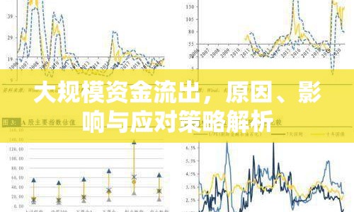 大規(guī)模資金流出，原因、影響與應(yīng)對策略解析