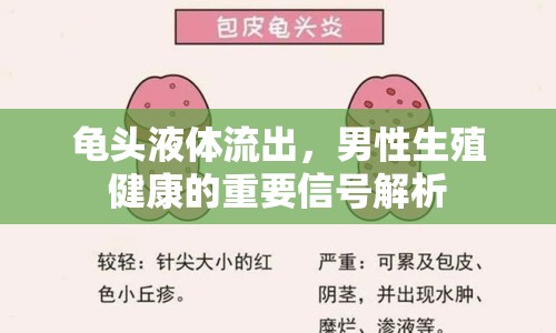 龜頭液體流出，男性生殖健康的重要信號解析