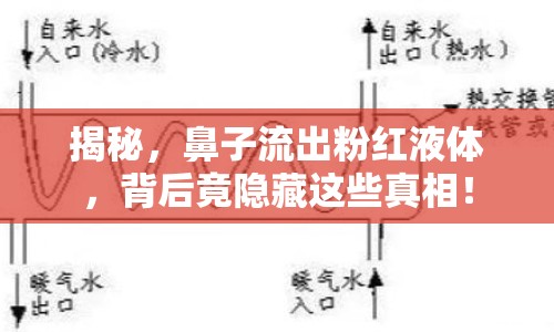 揭秘，鼻子流出粉紅液體，背后竟隱藏這些真相！