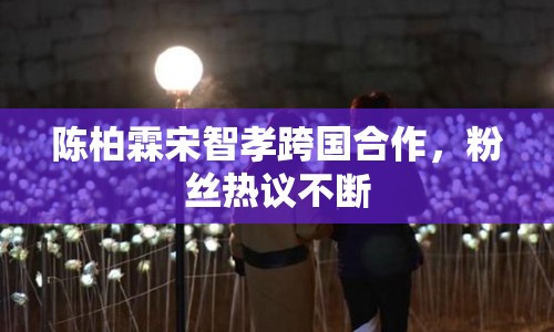 陳柏霖宋智孝跨國合作，粉絲熱議不斷