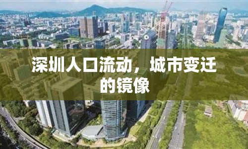 深圳人口流動，城市變遷的鏡像