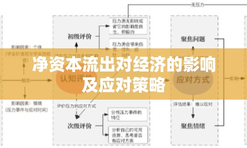 凈資本流出對經濟的影響及應對策略