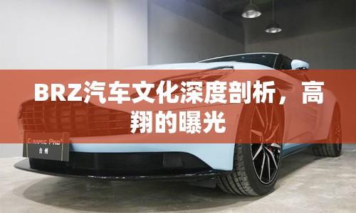 BRZ汽車文化深度剖析，高翔的曝光