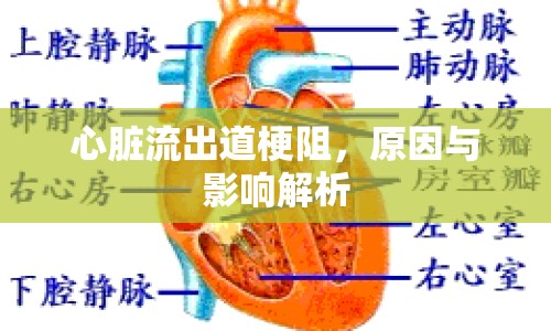 心臟流出道梗阻，原因與影響解析