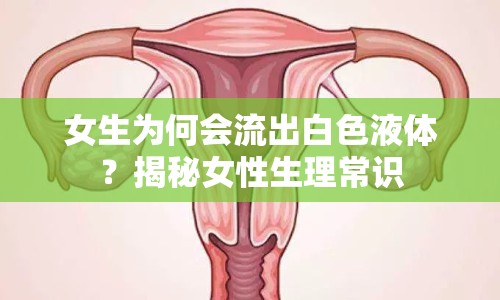 女生為何會流出白色液體？揭秘女性生理常識