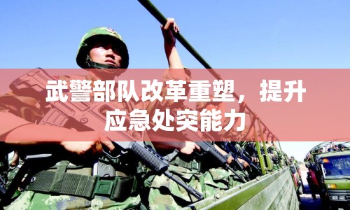 武警部隊改革重塑，提升應急處突能力