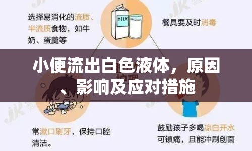 小便流出白色液體，原因、影響及應對措施