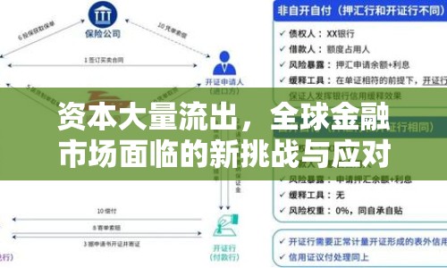 資本大量流出，全球金融市場面臨的新挑戰(zhàn)與應對策略