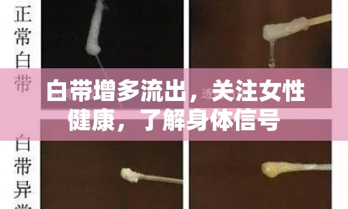 白帶增多流出，關(guān)注女性健康，了解身體信號