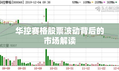 華控賽格股票波動(dòng)背后的市場解讀