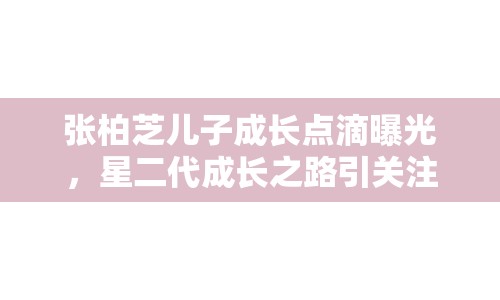 張柏芝兒子成長點滴曝光，星二代成長之路引關注