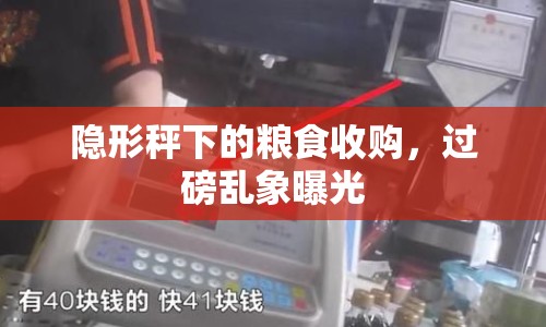 隱形秤下的糧食收購，過磅亂象曝光