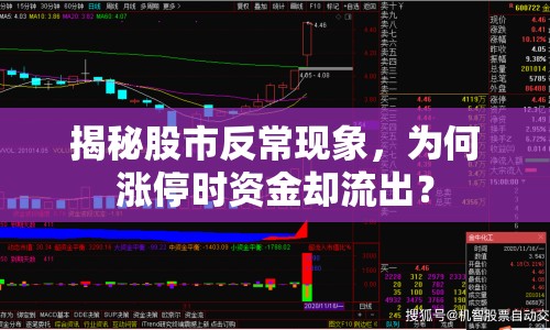 揭秘股市反?，F(xiàn)象，為何漲停時資金卻流出？