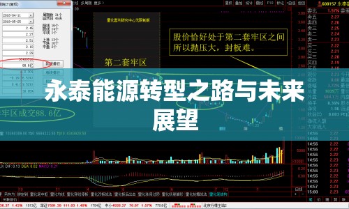 永泰能源轉(zhuǎn)型之路與未來(lái)展望