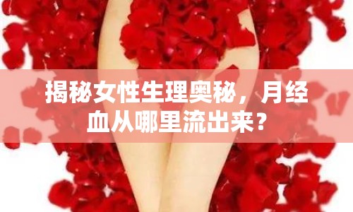 揭秘女性生理奧秘，月經(jīng)血從哪里流出來？