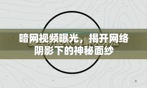 暗網(wǎng)視頻曝光，揭開網(wǎng)絡陰影下的神秘面紗