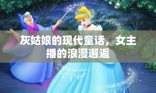 灰姑娘的現(xiàn)代童話，女主播的浪漫邂逅