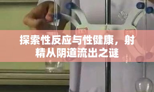 探索性反應與性健康，射精從陰道流出之謎