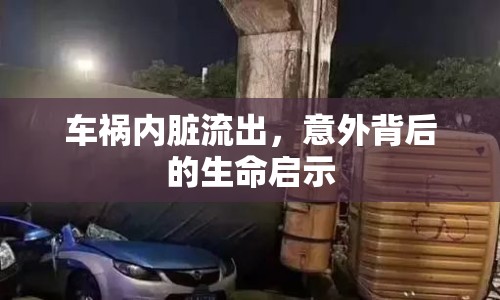 車禍內(nèi)臟流出，意外背后的生命啟示