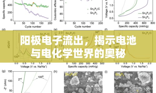 陽(yáng)極電子流出，揭示電池與電化學(xué)世界的奧秘