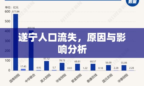 遂寧人口流失，原因與影響分析