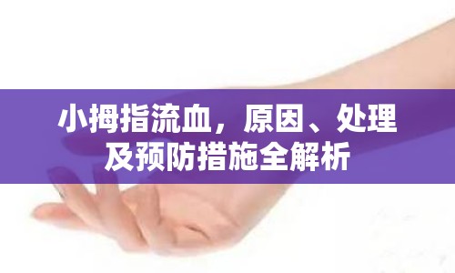 小拇指流血，原因、處理及預(yù)防措施全解析