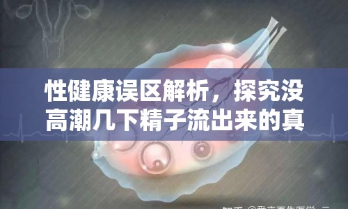 性健康誤區(qū)解析，探究沒高潮幾下精子流出來的真相