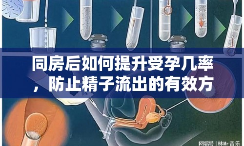 同房后如何提升受孕幾率，防止精子流出的有效方法