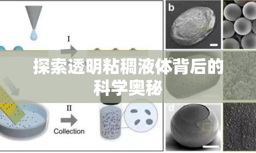 探索透明粘稠液體背后的科學(xué)奧秘