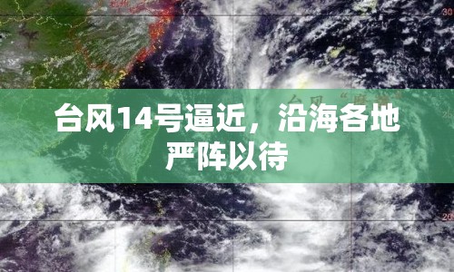 臺風14號逼近，沿海各地嚴陣以待