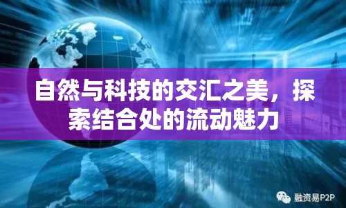 自然與科技的交匯之美，探索結(jié)合處的流動魅力