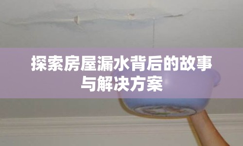 探索房屋漏水背后的故事與解決方案