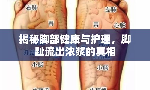 揭秘腳部健康與護理，腳趾流出濃漿的真相