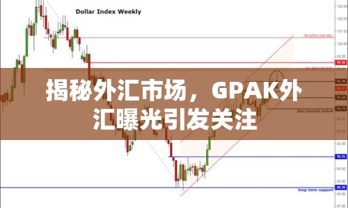 揭秘外匯市場，GPAK外匯曝光引發(fā)關(guān)注